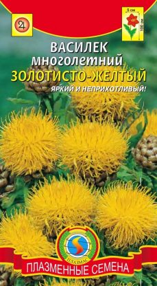 Василек многолетний Золотисто-желтый