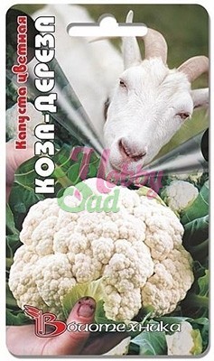 Капуста Коза-дереза цветная (0,5 г) Биотехника