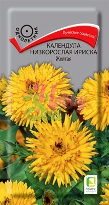 Цветы Календула Ириска Желтая низкорослая (10 шт) Поиск