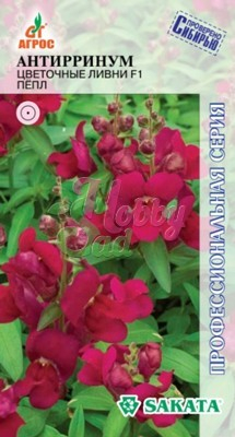 Цветы Антирринум Цветочные Ливни F1 Пепл (10 шт) Агрос