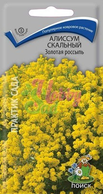 Цветы Алиссум Золотая Россыпь скальный (0,1 г) Поиск