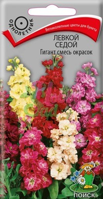 Цветы Левкой седой Гигант смесь окрасок (0,1 г) Поиск