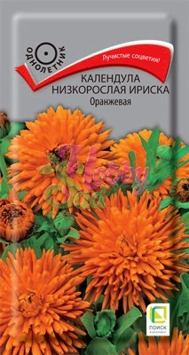 Цветы Календула Ириска Оранжевая низкорослая (10 шт) Поиск