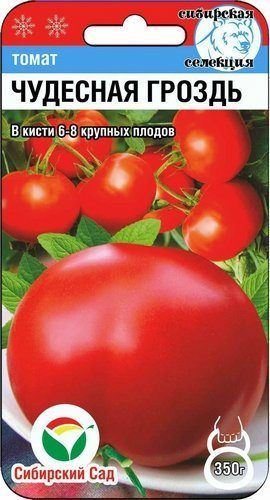 Томат Чудесная гроздь 20шт