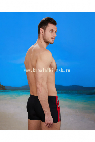 172 (L-4XL) Шорты купальные