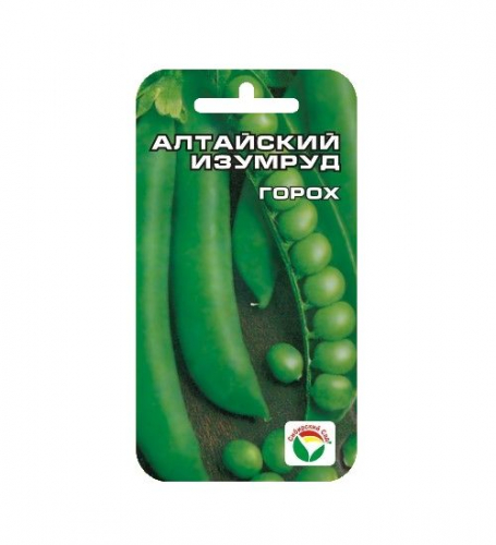 Горох Алтайский Изумруд 5гр (Сиб сад)35см