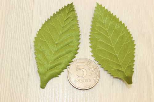 Листья атлас (светло-зеленый), 35*75мм, упак. 50 гр (160-175 шт)
                        							В наличии