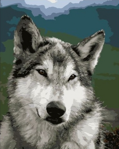 Картина по номерам 40х50 - Серый волк