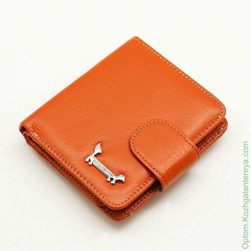 Маленький женский кожаный кошелек Sergio Valentini СВ 8097-198
