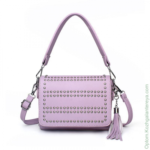 Женская сумка D0566-4 Purple