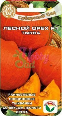 Тыква Лесной Орех (5 шт) Сибирский Сад