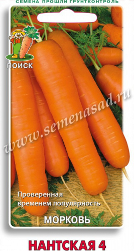 Морковь Нантская 4  2г