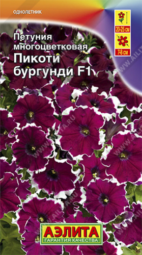 Петуния Пикоти бургунди F1