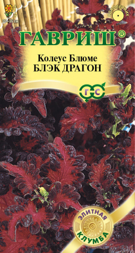 Колеус Блэк Дракон 5шт серия Элитная клумба