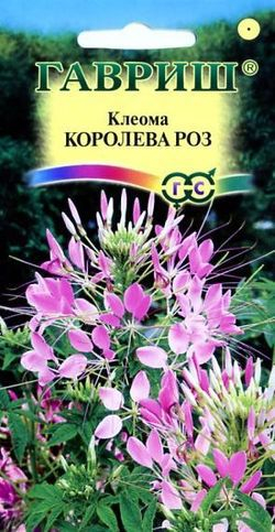 Клеома Королева роз.0,3г