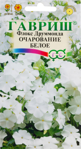 Флокс Очарование белое друммонда 0,05г