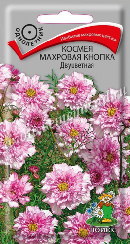 Космея Махровая кнопка двухцв. 0,1г