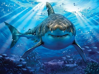Стерео пазл PRIME 3D Белая акула 500 дет.