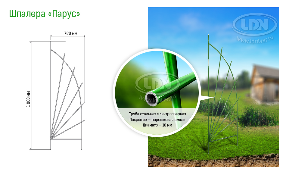 Шпалера Парус