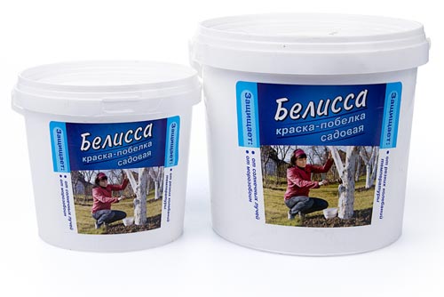 Садовая краска БЕЛИССА (ведро 1кг) 6шт/м ВХ