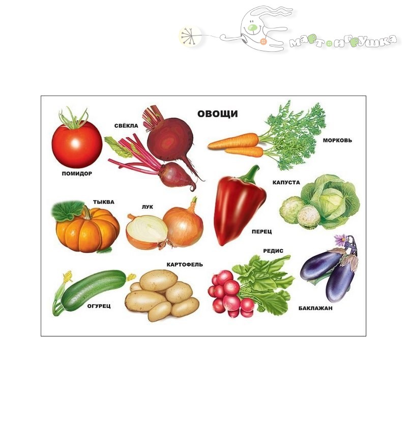 Обозначение слова овощ. Овощи. Плакат. Овощи названия. Обобщающие понятия овощи. Овощи с названиями для детей.
