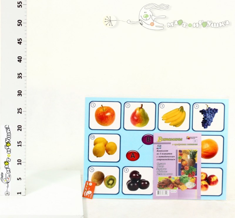 Плакат-раскраска Карта мира. Животные (формат А1) в карт. конверте 32 ...