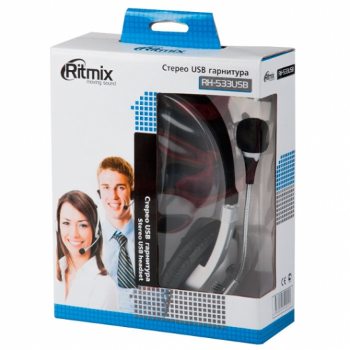 Гарнитура Ritmix RH-533 USB Silver