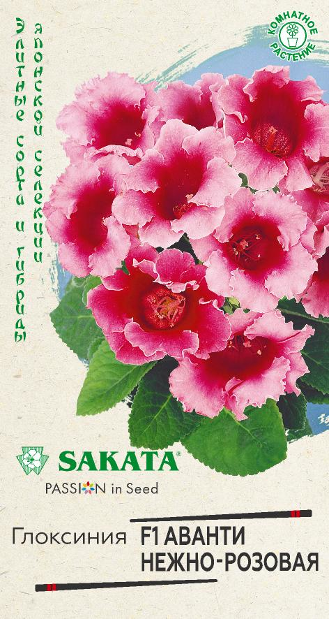Цветы Глоксиния Аванти нежно-розовая F1 4 шт ц/п Гавриш (комн.)