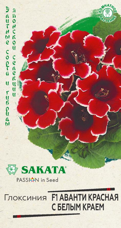 Цветы Глоксиния Аванти красная с белым краем F1, 4 шт ц/п Гавриш (комн.)