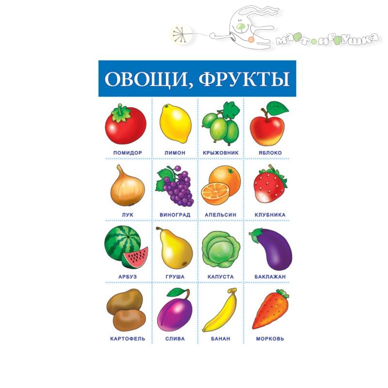 Род плодовых. Плакат овощи и фрукты. Плакат обучающий фрукты. Овощи названия. Овощи, фрукты, ягоды.