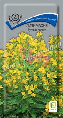 Цветы Лизимахия Русское золото (0,05 г) Поиск