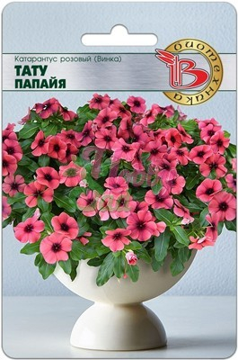 Цветы Катарантус розовый (Винка) Тату Папайя (8 шт) Биотехника