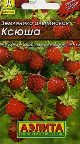 Земляника Ксюша альпийская 0,04г