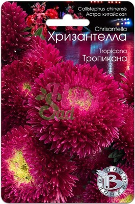 Цветы Астра китайская Хризантелла Тропикана (30 шт) Биотехника