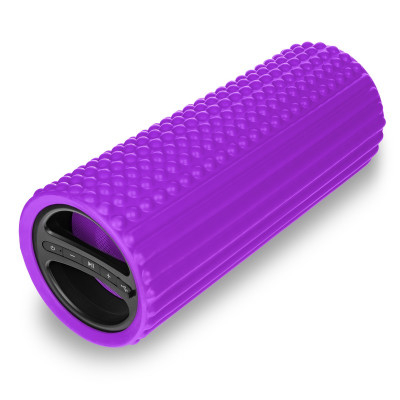 Колонка SmartBuy Fitness SBS-4530 10Вт, Bluetooth, MP3, фиолетовая
