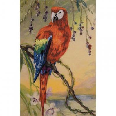 Набор для вышивания PANNA Живая картина JK-2071 ( ЖК-2071 ) Попугай Ара