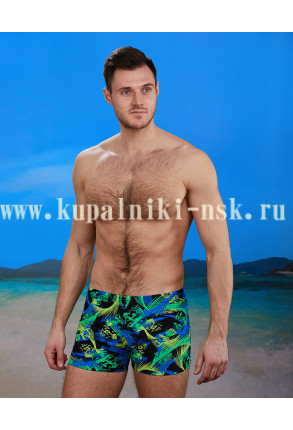1105-Z (48-56) Шорты куп.