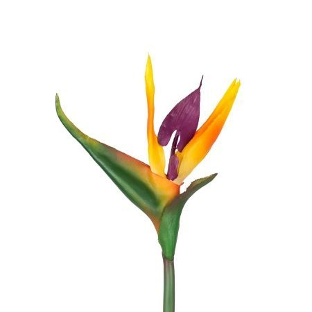 цветок Стрелиции короткий 62см (14+48)