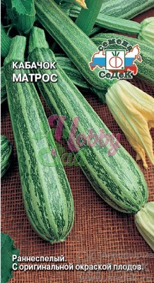 Кабачок Матрос (2 г) Седек