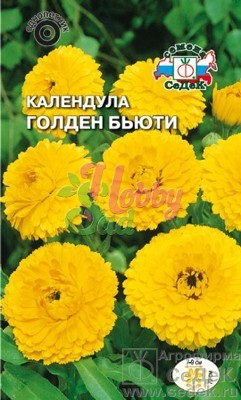 Цветы Календула Голден Бьюти (1 г) Седек