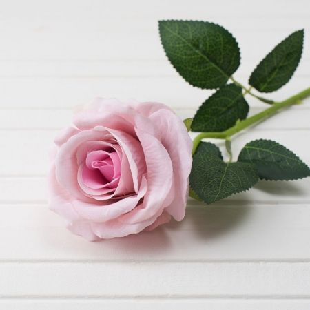 Роза бархатная (св.-сирень) h-50см