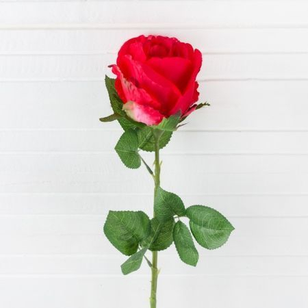 Роза *1 (красн.), 80 см