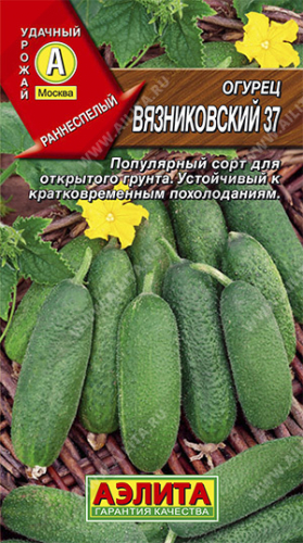 Огурец Вязниковский 37