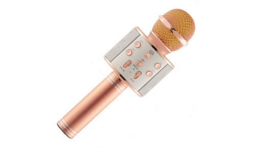 Колонка-микрофон WS-858 (BluetoothMicro SDUSBкараоке) розово-золотистый
