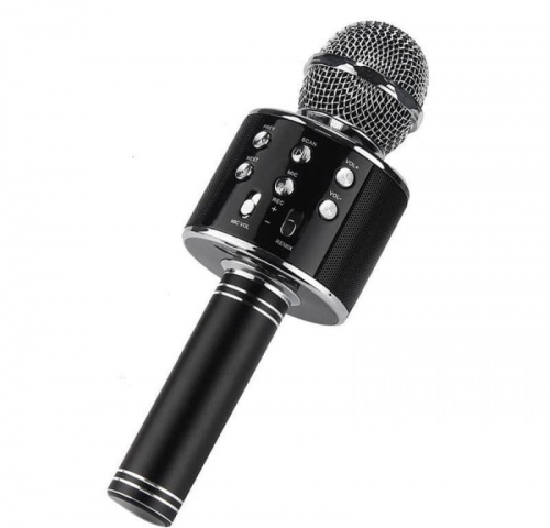 Колонка-микрофон WS-858 (BluetoothMicro SDUSBкараоке) черный