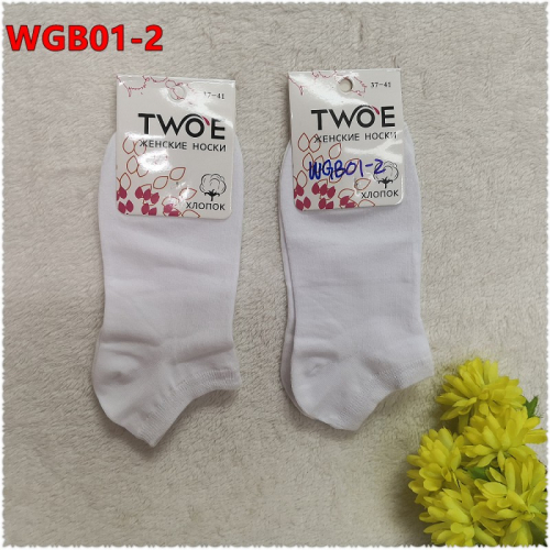Носки женские TWOE-WGB01-2