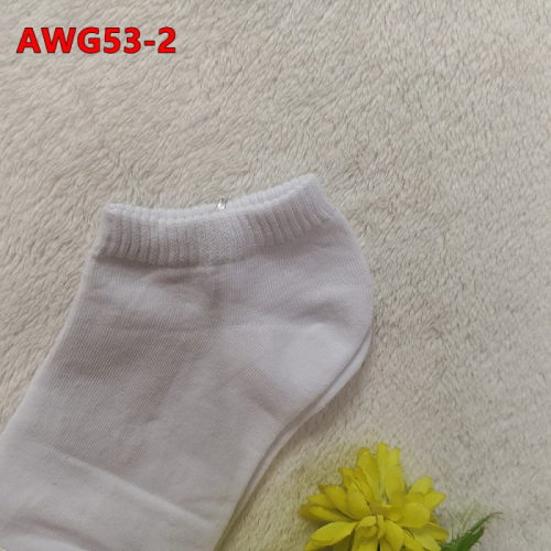 Носки мужские TWOE-AWG53-2
