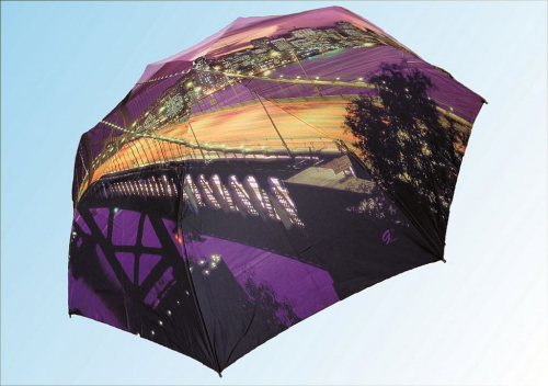 Зонт 8303 мост