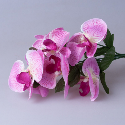 Букет орхидеи 18227
