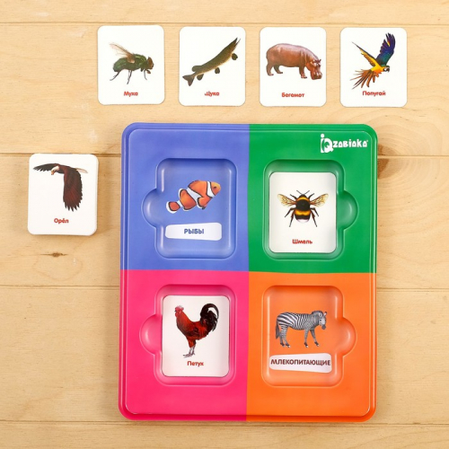 Сортер «Изучаем животный мир» с карточками Домана